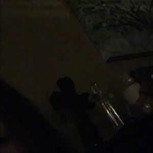 Meet your Posher, Bailey